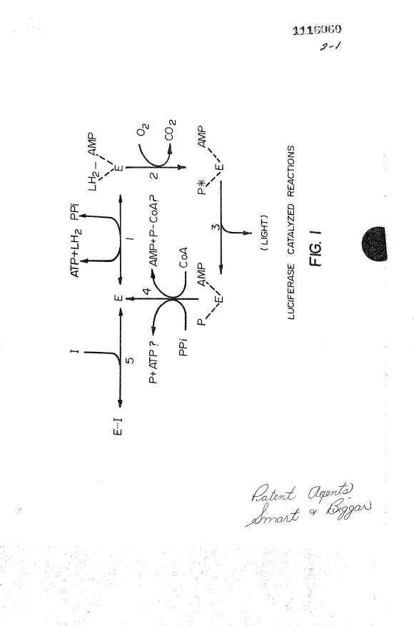 Canadian Patent Document 1116060. Drawings 19940127. Image 1 of 2