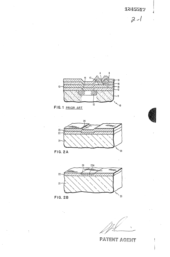Canadian Patent Document 1245517. Drawings 19921201. Image 1 of 2