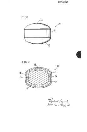 Canadian Patent Document 1246954. Drawings 19930825. Image 1 of 1
