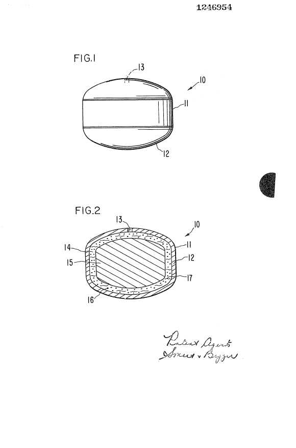 Canadian Patent Document 1246954. Drawings 19930825. Image 1 of 1