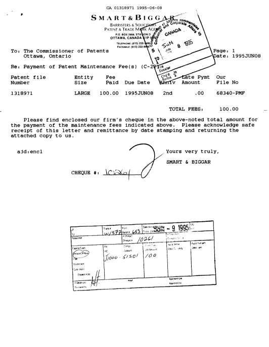 Document de brevet canadien 1318971. Taxes 19950608. Image 1 de 1