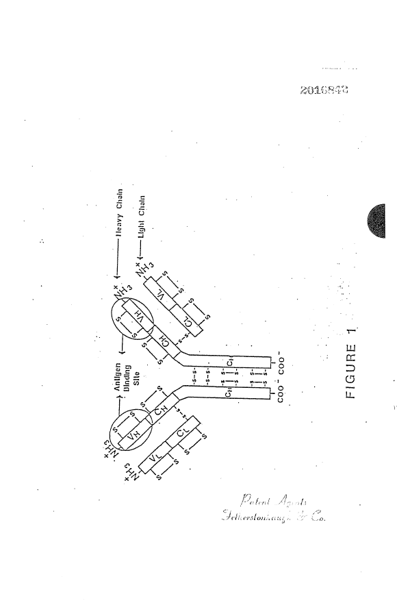 Canadian Patent Document 2016842. Drawings 19940113. Image 1 of 21