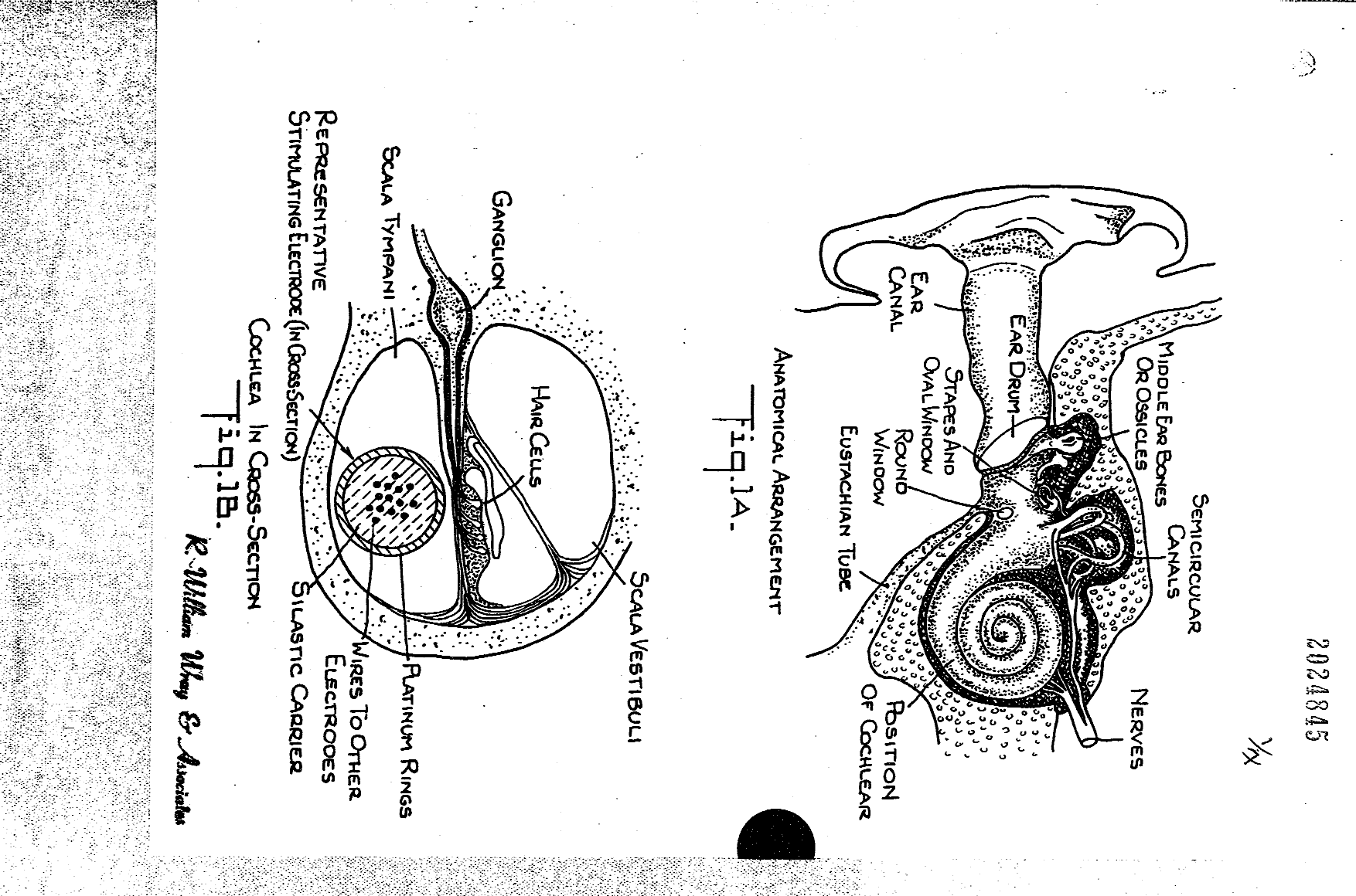 Canadian Patent Document 2024845. Drawings 19961212. Image 1 of 7