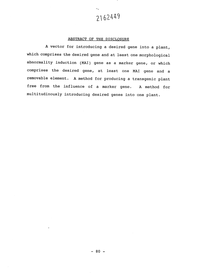 Document de brevet canadien 2162449. Abrégé 19960510. Image 1 de 1