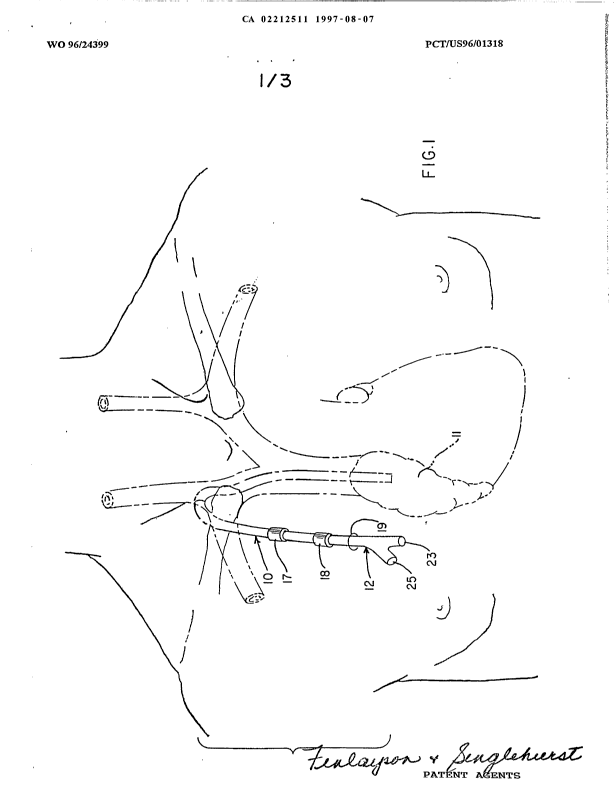 Canadian Patent Document 2212511. Drawings 19961207. Image 1 of 3