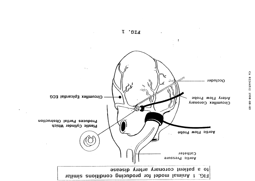 Canadian Patent Document 2244512. Drawings 19980805. Image 1 of 8