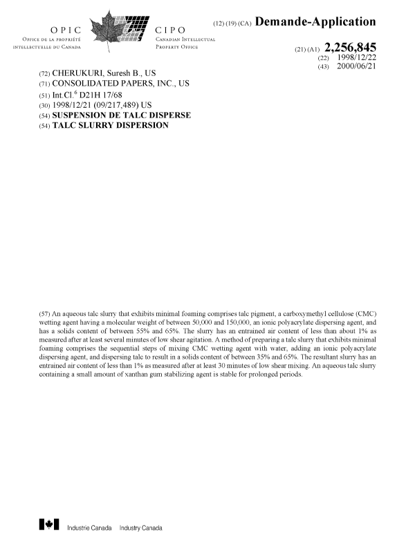Document de brevet canadien 2256845. Page couverture 20000712. Image 1 de 1