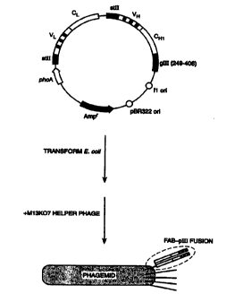 Canadian Patent Document 2286330. Representative Drawing 19981220. Image 1 of 1