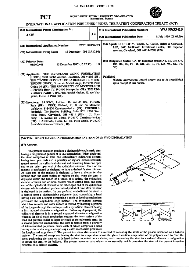 Canadian Patent Document 2313401. Abstract 19991207. Image 1 of 1