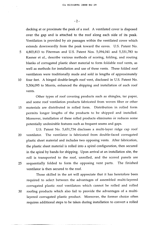 Canadian Patent Document 2316896. Description 20060227. Image 2 of 27