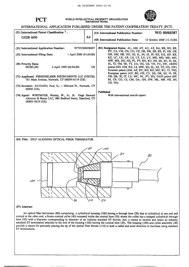 Canadian Patent Document 2333956. Abstract 20001201. Image 1 of 1