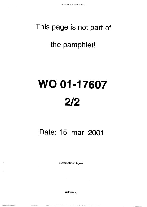 Document de brevet canadien 2347038. PCT 20010417. Image 4 de 4