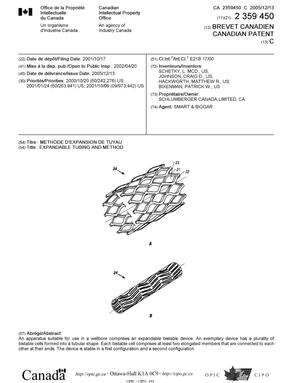 Canadian Patent Document 2359450. Cover Page 20051121. Image 1 of 1