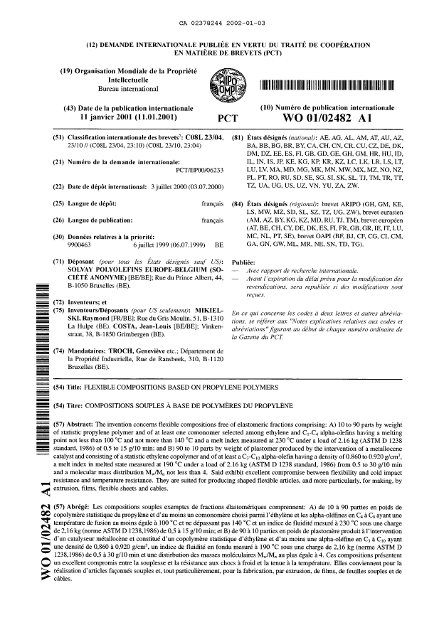 Canadian Patent Document 2378244. Abstract 20020103. Image 1 of 1