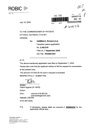 Document de brevet canadien 2382518. Poursuite-Amendment 20041219. Image 1 de 1