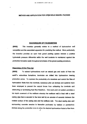 Canadian Patent Document 2480070. Description 20080918. Image 1 of 22