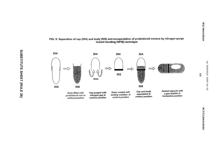 Canadian Patent Document 2503510. Drawings 20041222. Image 5 of 5