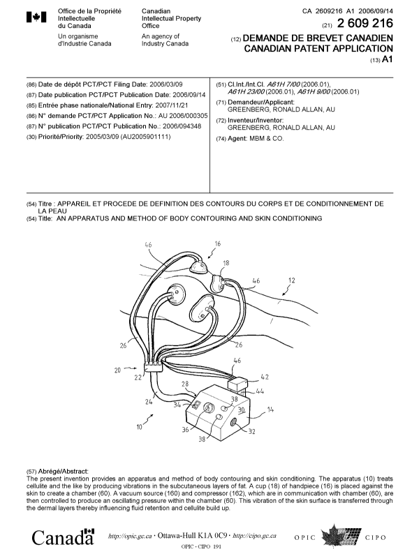 Canadian Patent Document 2609216. Cover Page 20071219. Image 1 of 1