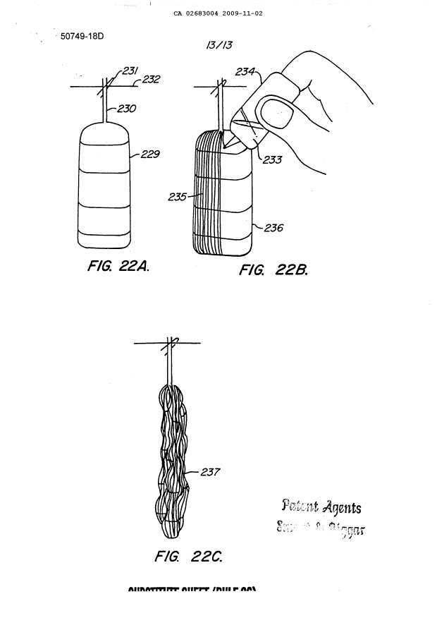 Canadian Patent Document 2683004. Drawings 20091102. Image 13 of 13