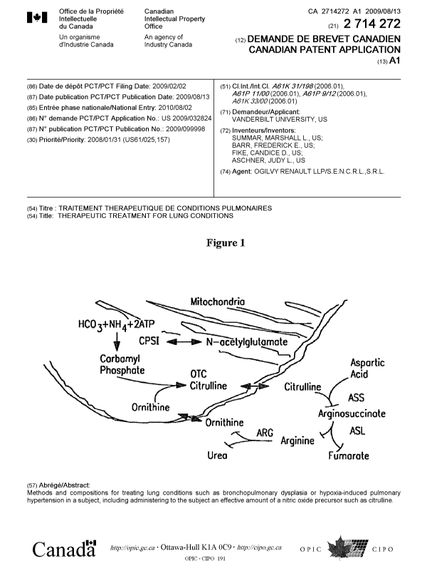 Document de brevet canadien 2714272. Page couverture 20101103. Image 1 de 1