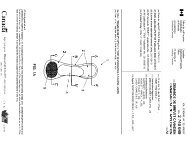 Canadian Patent Document 2746649. Cover Page 20101215. Image 1 of 1