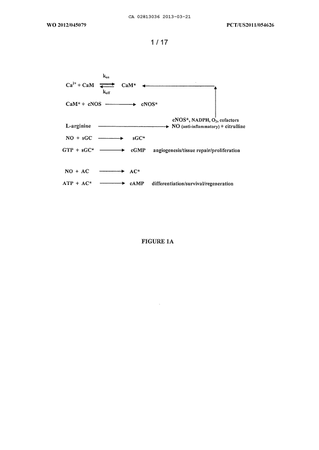 Document de brevet canadien 2813036. Dessins 20130321. Image 1 de 17