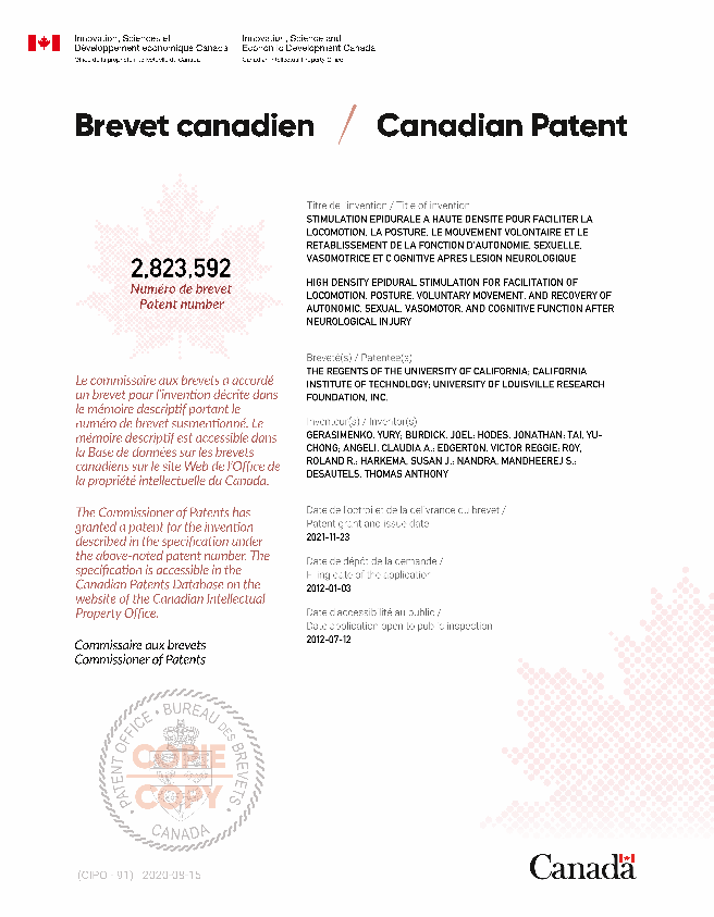 Document de brevet canadien 2823592. Certificat électronique d'octroi 20211123. Image 1 de 1