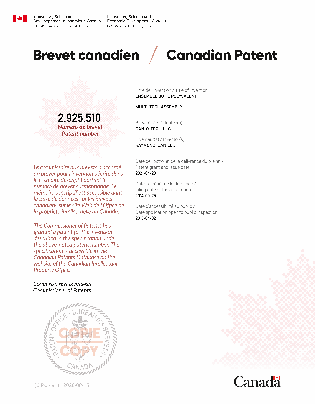 Canadian Patent Document 2925510. Electronic Grant Certificate 20210420. Image 1 of 1