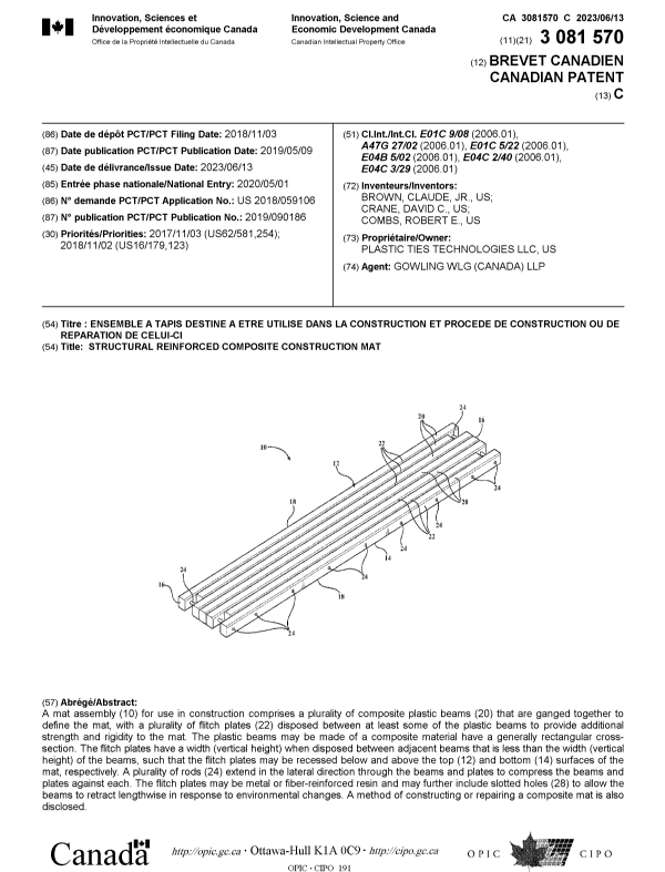 Canadian Patent Document 3081570. Cover Page 20230516. Image 1 of 1