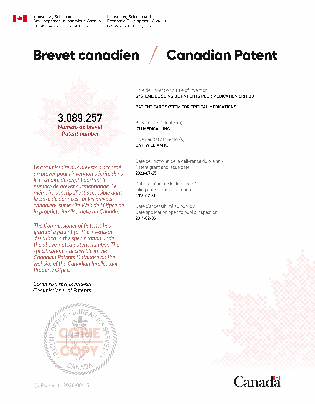 Canadian Patent Document 3089257. Electronic Grant Certificate 20230725. Image 1 of 1