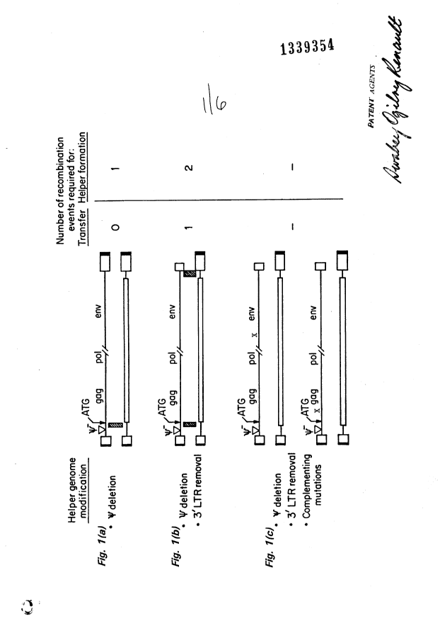 Canadian Patent Document 1339354. Drawings 19970826. Image 1 of 6
