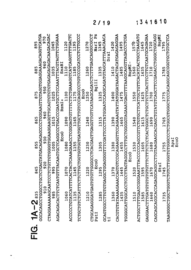 Document de brevet canadien 1341610. Dessins 20110201. Image 2 de 19