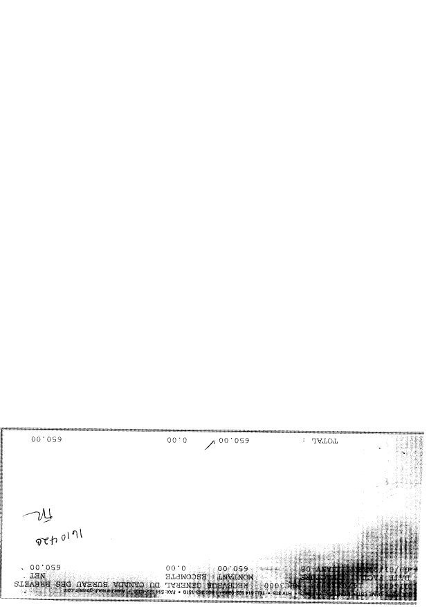 Canadian Patent Document 2031041. Fees 20071219. Image 2 of 2