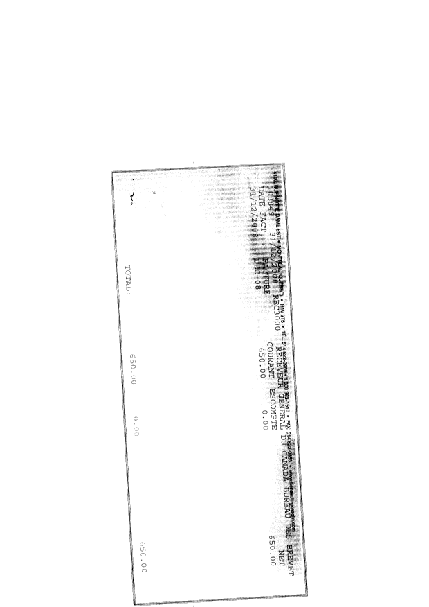 Document de brevet canadien 2031041. Taxes 20081219. Image 2 de 2
