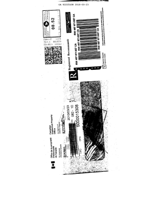 Canadian Patent Document 2110940. Correspondence 20100323. Image 2 of 2