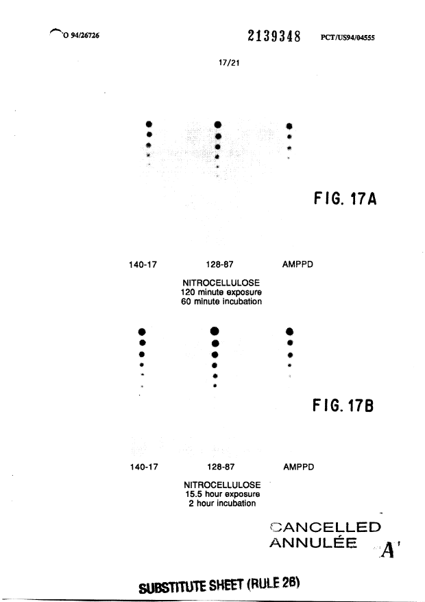 Canadian Patent Document 2139348. Prosecution-Amendment 19970911. Image 24 of 25