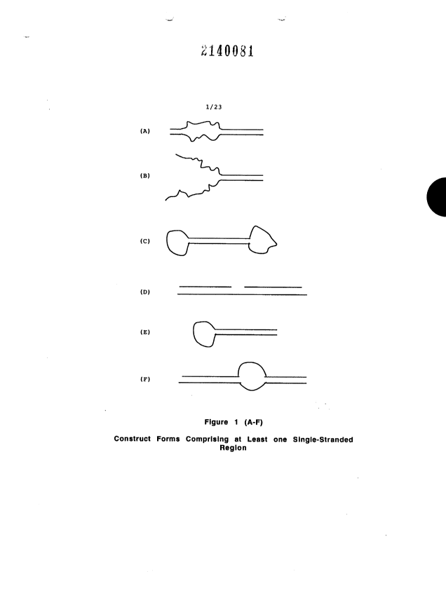 Canadian Patent Document 2140081. Drawings 20030214. Image 1 of 23