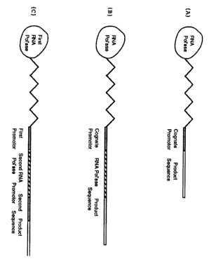 Document de brevet canadien 2140081. Dessins représentatifs 20070601. Image 1 de 1