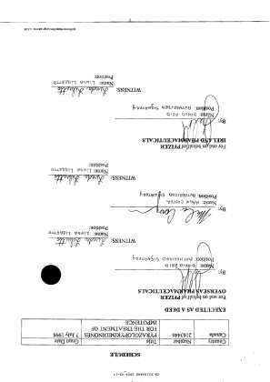 Canadian Patent Document 2163446. Prosecution-Amendment 20031217. Image 6 of 6