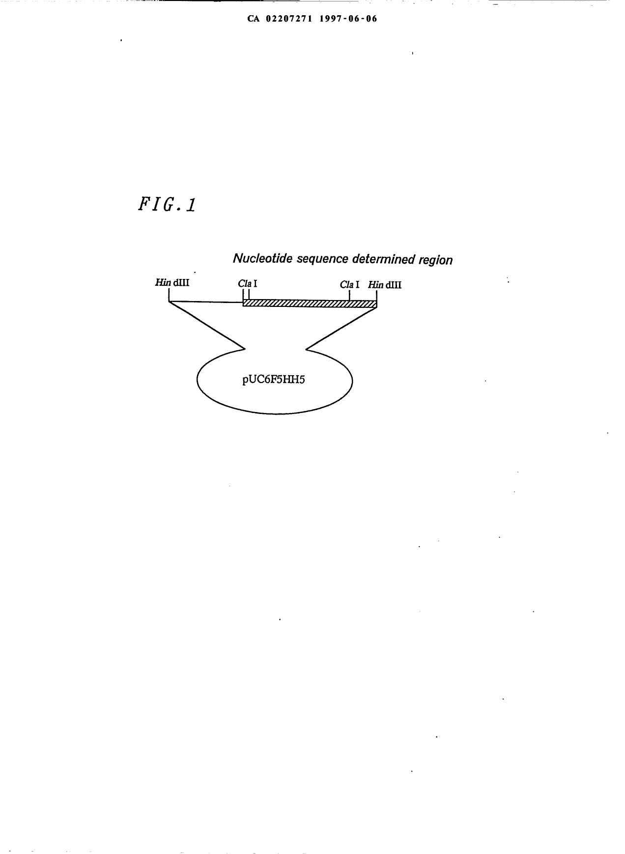 Document de brevet canadien 2207271. Dessins 19970606. Image 1 de 3