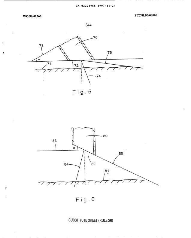 Canadian Patent Document 2221968. Drawings 19961224. Image 3 of 4