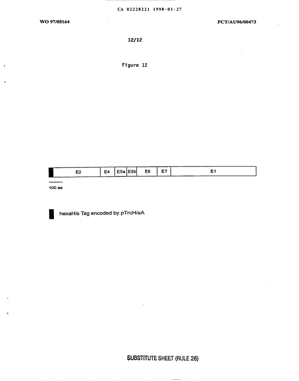 Canadian Patent Document 2228221. Drawings 19980127. Image 12 of 12