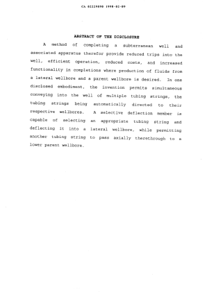 Document de brevet canadien 2229090. Abrégé 19980209. Image 1 de 1