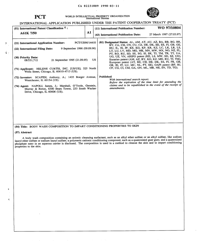 Canadian Patent Document 2231809. Abstract 19980311. Image 1 of 1
