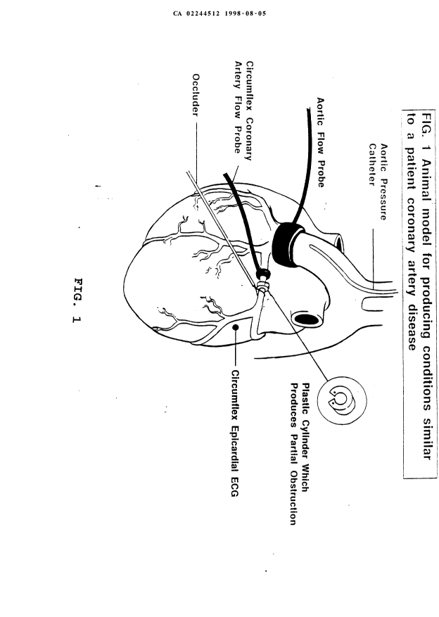 Document de brevet canadien 2244512. Dessins 19980805. Image 1 de 8