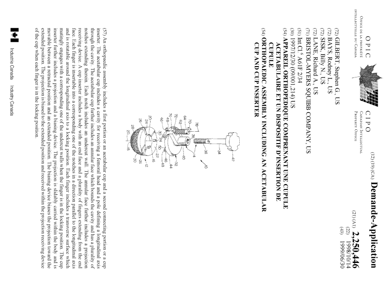 Canadian Patent Document 2250446. Cover Page 19990716. Image 1 of 1