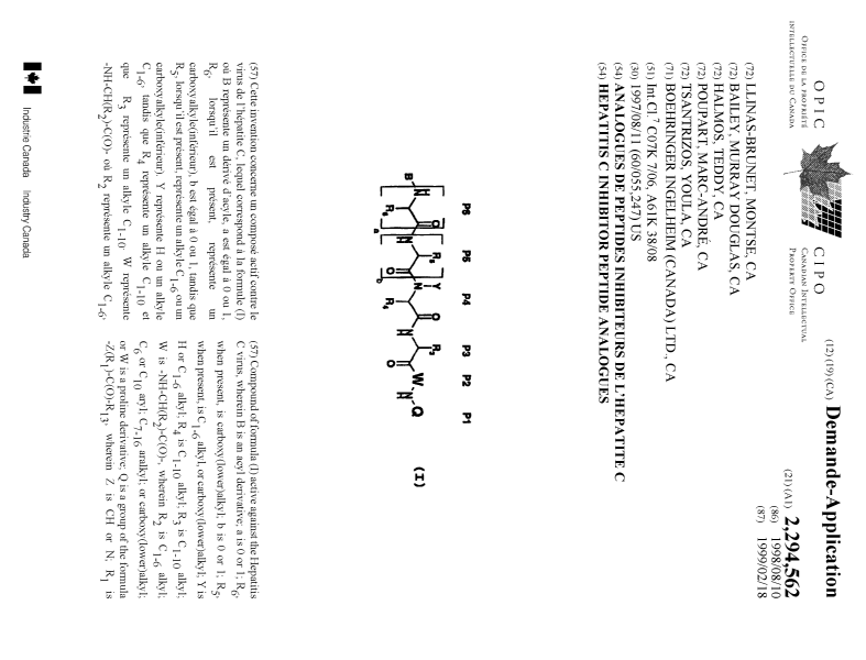 Document de brevet canadien 2294562. Page couverture 20000229. Image 1 de 2