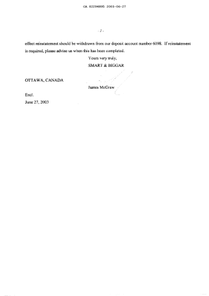 Canadian Patent Document 2294895. Prosecution-Amendment 20030627. Image 2 of 6