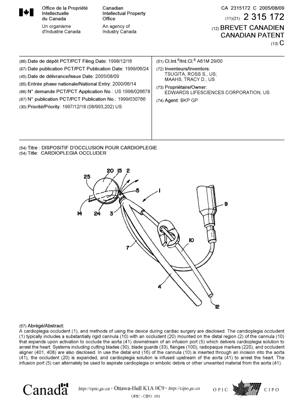 Canadian Patent Document 2315172. Cover Page 20050729. Image 1 of 1