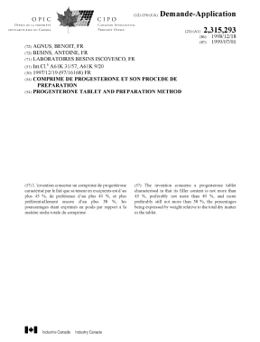 Document de brevet canadien 2315293. Page couverture 20000919. Image 1 de 1